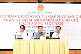 Thứ trưởng Nguyễn Sinh Nhật Tân chủ trì họp báo thường kỳ của Bộ Công Thương. (Ảnh: PV/Vietnam+)