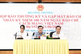 Thứ trưởng Nguyễn Sinh Nhật Tân chủ trì họp báo thường kỳ của Bộ Công Thương. (Ảnh: PV/Vietnam+)