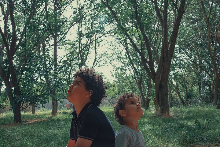 Phim mở màn "Vòng tay đại thụ." (Ảnh từ phim)