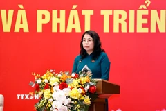 Phó Chủ nhiệm Ủy ban Pháp luật và Tư pháp của Quốc hội Trần Hồng Nguyên phát biểu. (Ảnh: Doãn Tấn/TTXVN)