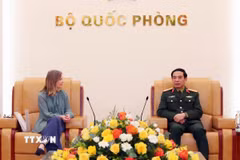 Đại tướng, Bộ trưởng Quốc phòng Phan Văn Giang tiếp Thứ trưởng Bộ Quốc phòng Canada, bà Stefanie Beck. (Ảnh: Trọng Đức/TTXVN)