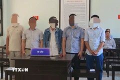 Các bị cáo tại phiên tòa. (Ảnh: Văn Dũng/TTXVN)