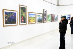 Du khách tham quan triển lãm. (Ảnh: Mạnh Minh/TTXVN)