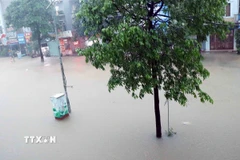 Các tuyến đường ngập sâu trong nước do cơn mưa kéo dài từ 19h ngày 20/6/2025 ở Thái Nguyên. (Ảnh: Trần Trang/TTXVN)