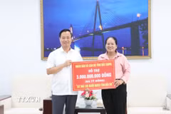 Chủ tịch Ủy ban Mặt trận Tổ quốc Việt Nam tỉnh Bắc Giang Đinh Đức Cảnh trao tặng Ủy ban Mặt trận Tổ quốc Việt Nam tỉnh Bến Tre bảng tượng trưng 3 tỷ đồng, để xây dựng 50 căn nhà Đại đoàn kết cho các hộ khó khăn về nhà ở tại tỉnh Bến Tre. (Ảnh: Chương Đài/TTXVN)
