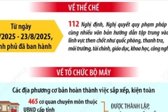 Tình hình vận hành mô hình tổ chức chính quyền địa phương hai cấp 