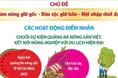 Nhiều hoạt động hấp dẫn tại Lễ hội Trái cây Nam Bộ 2025 