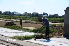 Giữa cái nắng gay gắt như đổ lửa những ngày cuối tháng 5, diêm dân làng muối Tam Hòa (xã Hoa Lộc, tỉnh Thanh Hóa) vẫn tất bật trên những cánh đồng muối trắng. (Ảnh: Hoa Mai/TTXVN)