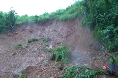 Quảng Ngãi khẩn trương khắc phục các điểm sạt lở trên Quốc lộ 24C 