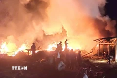 Ảnh minh họa. (Ảnh: TTXVN phát)