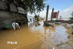 Nước sông Hồng có dấu hiệu ngừng dâng sáng 2/10. (Ảnh: Minh Quyết/TTXVN)