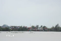 Đến sáng 23/11, một số khu vực dân cư phường Đông Hòa, tỉnh Đắk Lắk vẫn còn ngập sâu. (Ảnh: Tuấn Anh/TTXVN)