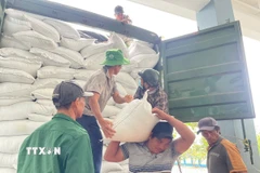 Gạo cứu trợ được vận chuyển đến các địa phương chịu thiệt hại nặng nề do lũ lụt gây ra. (Ảnh: TTXVN phát)