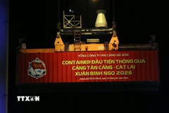 Lô hàng đầu tiên được xếp lên tàu EVER BRAVE tại cảng Tân cảng Cát Lái là mặt hàng hàng linh kiện điện tử. (Ảnh: Tiến Lực/TTXVN)