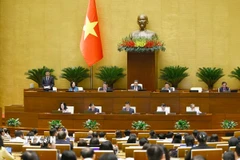 Phó Chủ tịch Quốc hội Vũ Hồng Thanh phát biểu tại phiên thảo luận về kết quả thực hiện kế hoạch phát triển kinh tế-xã hội năm 2025. (Ảnh: Doãn Tấn/TTXVN)