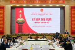 Kỳ họp thứ 10 (Kỳ họp chuyên đề) Hội đồng Nhân dân tỉnh Lâm Đồng được tổ chức theo hình thức trực tiếp và trực tuyến. (Ảnh: Nguyễn Dũng/TTXVN)