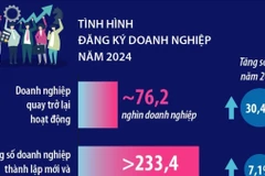 Số doanh nghiệp thành lập mới và quay lại hoạt động trong năm 2024 tăng 7,1% 