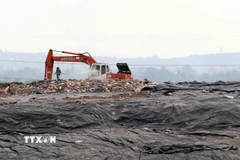Rác thải tồn đọng tại các điểm tập kết tạm ở nhiều địa phương trong thành phố Đà Nẵng. (Ảnh: Trần Tĩnh/TTXVN)