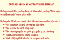 Nâng tầm giám sát tối cao của Quốc hội theo hướng thực chất, sắc bén 