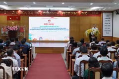 Sở Giáo dục và Đào tạo Thành phố Hồ Chí Minh hội nghị sơ kết thí điểm và triển khai thực hiện xây dựng môi trường trường học đường lành mạnh, hạn chế sử dụng điện thoại di động, thiết bị điện tử trong giờ ra chơi tại các cơ sở giáo dục trên địa bàn. (Ảnh: Thu Hoài/TTXVN)