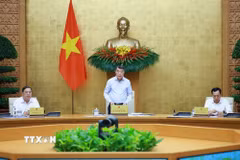 Thủ tướng Lê Minh Hưng chủ trì Phiên họp Chính phủ chuyên đề về xây dựng pháp luật tháng 7 năm 2026. (Ảnh: Dương Giang/TTXVN)