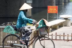 Người dân mặc kín đồ bảo hộ chống nắng nóng khi mưu sinh ở bờ Nam sông Hương, phường Thuận Hóa, thành phố Huế. (Ảnh: Nguyên Lý/TTXVN)