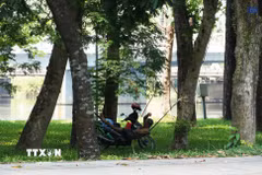 Người dân đến công viên ở bờ Bắc sông Hương, phường Phú Xuân, thành phố Huế, để hóng mát, tránh nắng nóng gay gắt. (Ảnh: Nguyên Lý/TTXVN)
