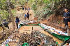 (Ảnh minh họa: TTXVN phát)