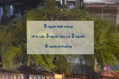 Thiệt hại ban đầu do bão số 13 ở Đắk Lắk và Gia Lai
