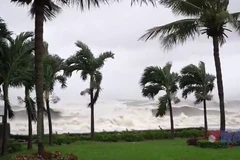 Bão số 13 gây thiệt hại nghiêm trọng cho Gia Lai và Quảng Ngãi 