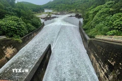 Ảnh minh họa. (Ảnh: Đoàn Hữu Trung/TTXVN)