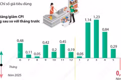 Chỉ số giá tiêu dùng tháng 6 năm 2026 của cả nước giảm 0,39% 