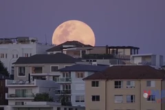 Thế giới “đắm mình” trong siêu trăng lớn nhất năm 