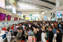 Người dân xếp hàng đông nghẹt chờ làm thủ tục tại quầy của hãng hàng không Vietjet ở sân bay Nội Bài sáng mùng 5 Tết Ất Tỵ. (Ảnh: Quốc Khánh/TTXVN)
