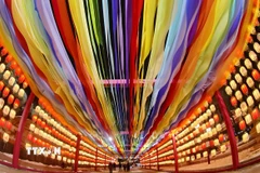 Đèn lồng được thắp sáng rực rỡ dịp tết Nguyên đán tại tỉnh Hà Bắc, Trung Quốc. (Ảnh: THX/TTXVN)