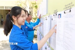 Những cử tri lần đầu tham gia bỏ phiếu bầu cử tìm hiểu tiểu sử tóm tắt người ứng cử Quốc hội và Hội đồng Nhân dân các cấp. (Ảnh: Xuân Triệu/TTXVN)