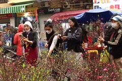 Nét xuân trong từng sắc hoa Hàng Lược