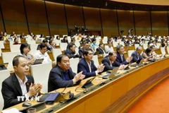 Đại biểu Quốc hội biểu quyết thông qua các luật và nghị quyết. (Ảnh: Doãn Tấn/TTXVN)