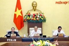 Chủ tịch Quốc hội Trần Thanh Mẫn phát biểu. (Ảnh: Doãn Tấn/TTXVN)