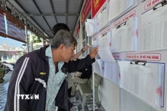 Cử tri xã Vĩnh Thanh, tỉnh Cà Mau tìm hiểu thông tin về cuộc bầu cử, tìm hiểu tiểu sử, chương trình hành động của các ứng cử viên. (Ảnh: TTXVN phát)