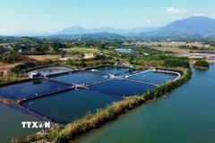 Vùng nuôi trồng thủy sản tại xã Đường Hoa (Quảng Ninh). (Ảnh: Đức Hiếu/TTXVN)