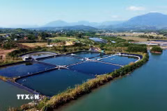 Vùng nuôi trồng thủy sản tại xã Đường Hoa (Quảng Ninh). (Ảnh: Đức Hiếu/TTXVN)