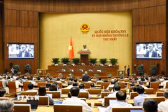 Quang cảnh phiên họp sáng 13/8. (Ảnh: Doãn Tấn/TTXVN)