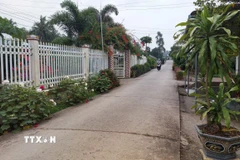 Đường giao thông nông thôn tại Cà Mau được bêtông hóa. (Ảnh: Tuấn Kiệt/TTXVN)