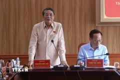 Phó Chủ tịch Quốc hội Nguyễn Đức Hải phát biểu tại buổi giám sát. (Ảnh: Tuấn Phi/TTXVN)