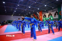 Ảnh minh họa. (Ảnh: Dương Giang/TTXVN)