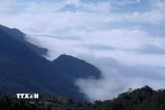 Biển mây lững lờ trôi đan xen những ngọn núi trùng trùng, điệp điệp hút tầm mắt trên cao nguyên Sìn Hồ. (Ảnh: Quý Trung/TTXVN)