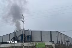 Công ty trách nhiệm hữu hạn ngành gỗ MERIDA vẫn thản nhiên hoạt động, xả khói ra môi trường. (Ảnh: Đinh Thùy/ TTXVN)