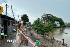 Sạt lở tuyến đường nhựa nông thôn tại ấp An Phú, xã An Hoà (Châu Thành, An Giang) với chiều dài khoảng 50m, ăn sâu vào gần hết mặt đường khoảng 4-5m. (Ảnh: TTXVN phát)