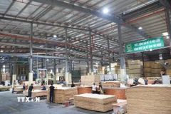 Phát triển công nghiệp chế biến gỗ gắn với lợi thế rừng trồng giữ vai trò chủ đạo trong phát triển công nghiệp, tạo động lực tăng trưởng cho Tuyên Quang trong giai đoạn phát triển mới. (Ảnh: Hoàng Hải/TTXVN)